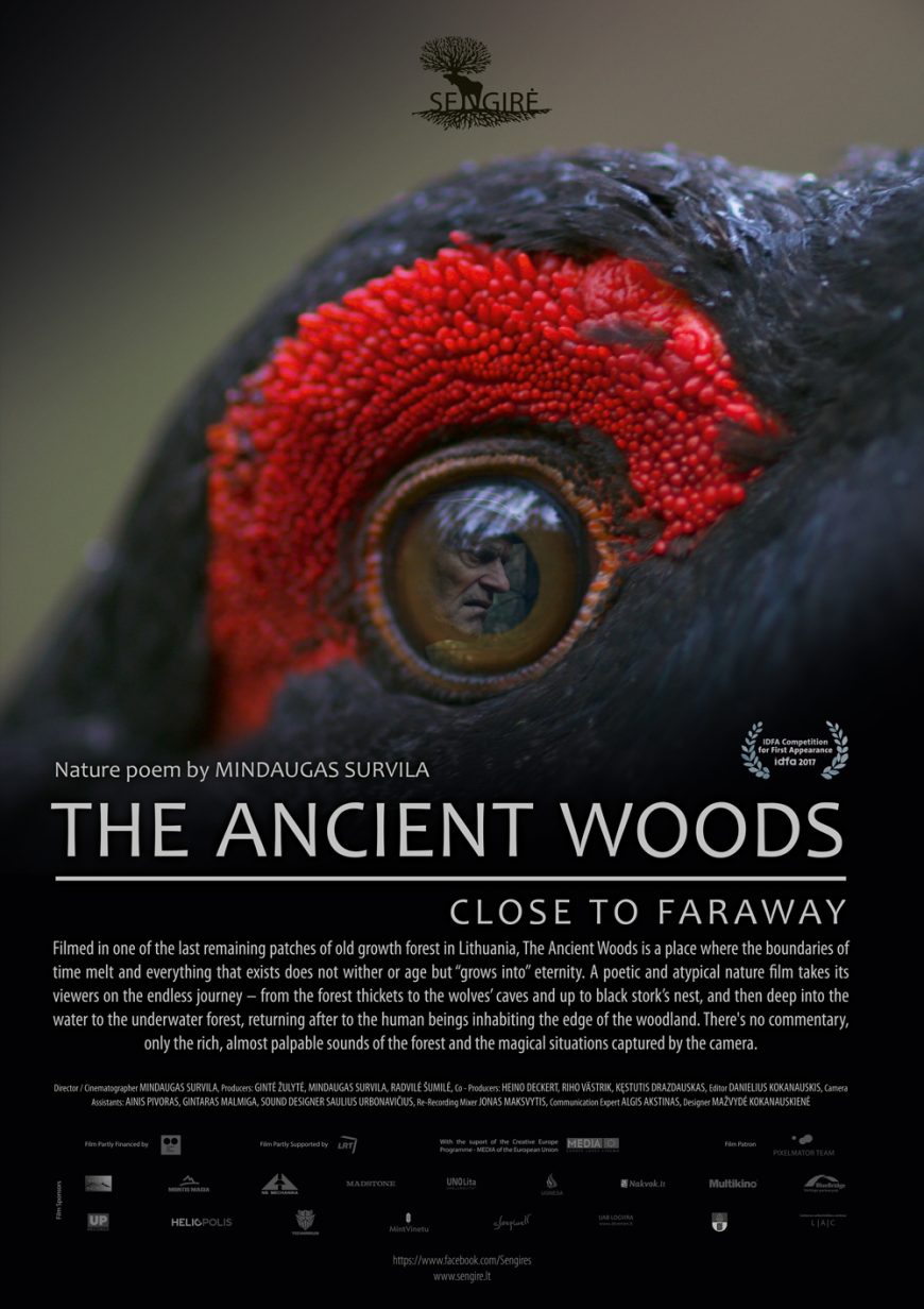 theancientwoods-poster