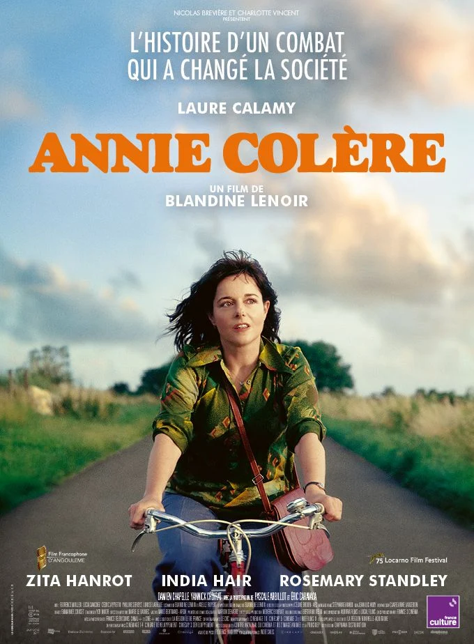 Affiche annie colère